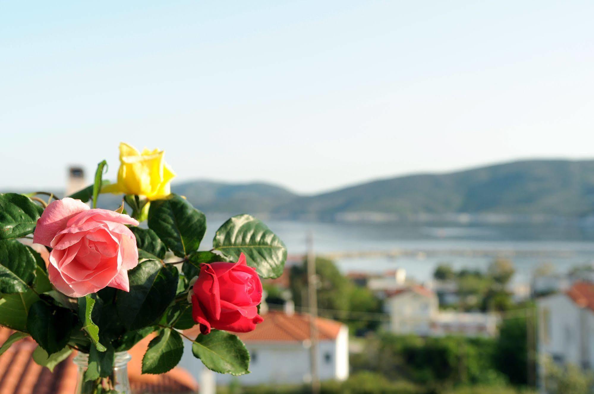 Triantafilia Guesthouse Άγιοι Απόστολοι Εξωτερικό φωτογραφία